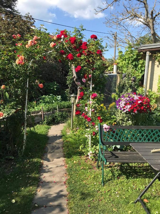 Wohnen Im Eulengarten 오라니엔부르크 외부 사진